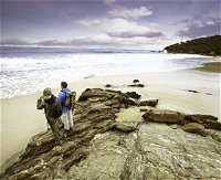 Wilderness Coast Walk - QLD Tourism