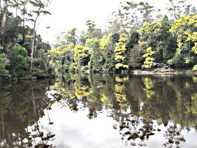 Arthur River TAS Whitsundays Accommodation