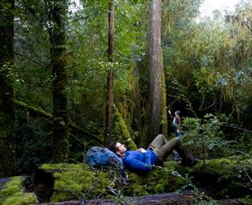 Roger River TAS Tourism Cairns