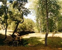Oldina Picnic Area - Accommodation Daintree