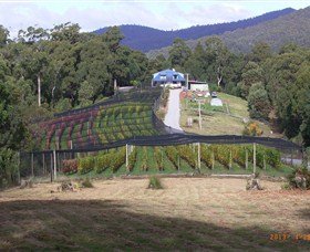North Motton TAS New South Wales Tourism 
