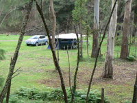 Goomburra Forest Retreat - Tourism Adelaide
