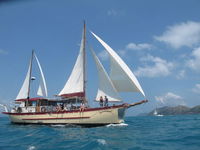 Adventure Cruise Dive and Outer Reef - Whitsundays Sailing Adventures - QLD Tourism