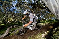 All Terrain Cycles - Accommodation Cooktown