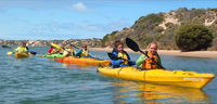 Canoe the Coorong - Accommodation NSW