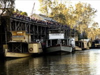 Murray River Paddelsteamers - Echuca Paddlesteamers - Accommodation Ballina