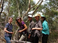 Echidna Walkabout Nature Tours - Accommodation NSW