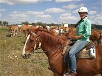 Myella Farm Stay Tours - Find Attractions