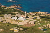 Naturewise Montague Island Nature Escape - Attractions Perth