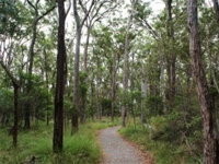 Caboolture Regional Environment Education Centre - Walking Trails - Stayed