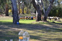 Glendale Citrus  Hazelnut Orchard - Wagga Wagga Accommodation