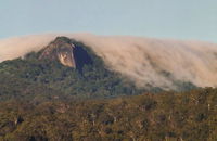 North Queensland Wildscapes Phototours - Tourism Canberra