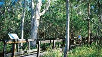 Kinaba Track - Accommodation Cooktown
