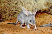 Stars Parks and Legends Drive - QLD Tourism