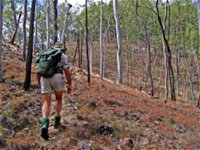 Shepherd's Peak Trail - Accommodation Find
