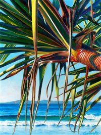 Susan Schmidt Art - Accommodation Cooktown
