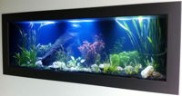 Aquariums in Cairns - Taree Accommodation