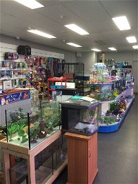 Nambour Pet Shop - Tourism Canberra