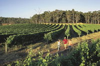 Margaret River Caves Wine and Cape Leeuwin Lighthouse Tour from Perth - Accommodation NT