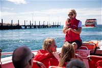 Rottnest Island Tour from Perth or Fremantle including Adventure Speed Boat Ride