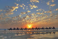 1 Hour Broome Sunset Camel Tour - Broome Tourism