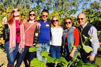 Swan Valley Tour from Perth Wine Beer and Chocolate Tastings - Accommodation Port Hedland