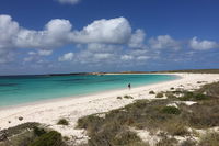 Abrolhos Island Half Day Fly and Flipper - Accommodation Sydney