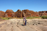 Bungle Bungle Flight Domes  Cathedral Gorge Guided Walk from Kununurra - Accommodation Yamba