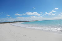 Shipwreck Special Nature Tour/Half Day Tour - Redcliffe Tourism