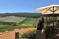 Small-Group Bickley Valley Wine Tour