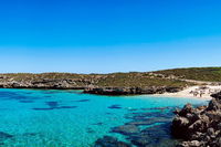 Rottnest Island Roundtrip Fast Ferry from Hillarys Boat Harbour