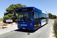 Rottnest Bayseeker Bus Tour from Hillarys Boat Harbour