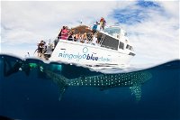 VIP luxury chartered escapes exploring the reef at your own pace - Accommodation Brisbane