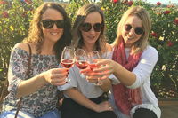 Half Day Swan Valley Wine Tour - SA Accommodation