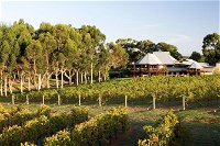 Margaret River and Geographe Bay Region Day Trip from Perth - Accommodation Gladstone