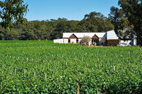 Upper Reach Winery Swan Valley Winery and Vineyard Tour - Great Ocean Road Tourism