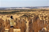 Full-Day Pinnacles Sandboarding and Yanchep National Park from Perth - Accommodation Great Ocean Road