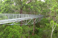 Albany Southwest Wilderness Day Tour - Fly From Perth - Accommodation Great Ocean Road