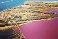 70-minute Pink Lake Scenic Flight - Melbourne Tourism
