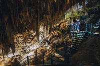 Ngilgi Cave Semi-guided Tour - Wagga Wagga Accommodation