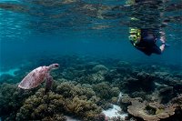 3 Night Ningaloo Reef Snorkel and Dive Getaway from Coral Bay - Broome Tourism
