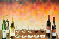 Leeuwin Estate Guided Tour Including Food and Wine Pairing Flight - Kingaroy Accommodation