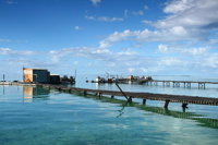 Full Day Guided Abrolhos Fly and Flipper Tour from Geraldton - Broome Tourism
