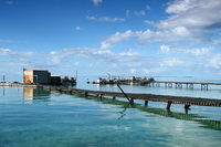 Full Day Guided Abrolhos Fly and Flipper Tour from Geraldton - Accommodation Yamba