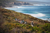 8-Day Cape to Cape Track Guided Walking Tour from Perth - Sydney Tourism