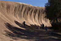 Wave Rock Pinnacles and Rottnest One Day Aeroplane Tour - Tweed Heads Accommodation