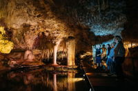 Lake Cave Fully Guided Tour - Whitsundays Tourism