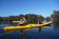 Kayak Tour on the Canning River - Tourism Brisbane