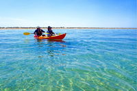 Turtle Tour - Ningaloo Reef Half Day Sea Kayak and Snorkel Tour - QLD Tourism