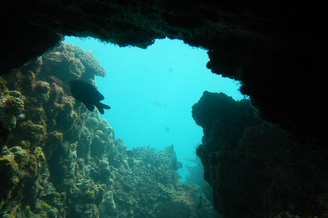 Houtman Abrolhos WA Accommodation Yamba